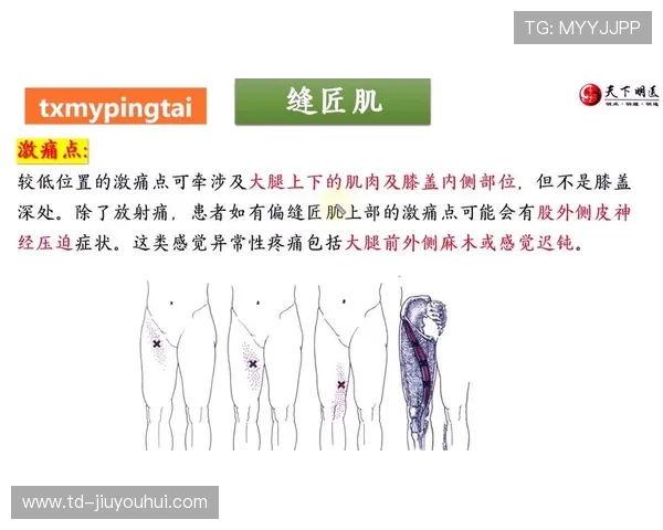 标准足球床详细尺寸解析及设计规范全方位讲解